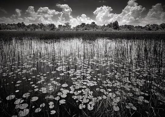 Photograph Clyde Butcher .
