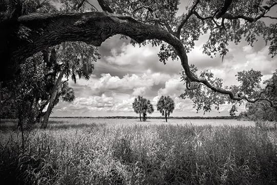 Photograph Clyde Butcher .