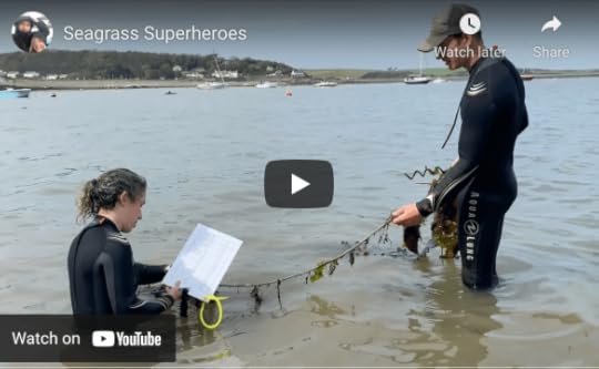 seagrass restoration