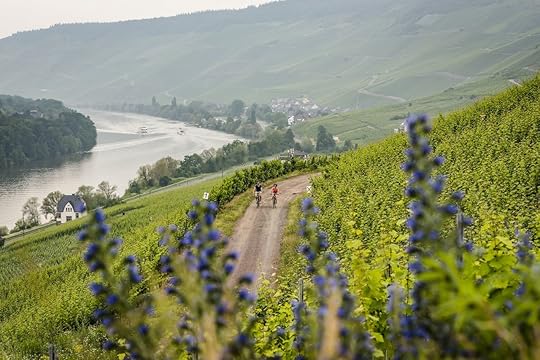 6 of the best cycling routes in Germany