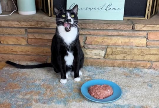 darwins-raw-cat-food