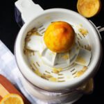citrus juicer with lemons