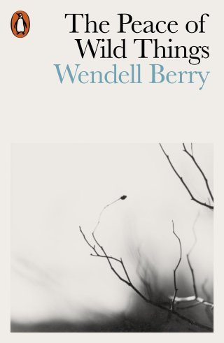 The Peace of Wild Things: Wendell Berry’s Poetic Antidote to Despair, Animated