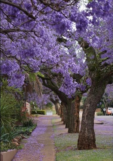 Take a Walk, Awaken a Memory