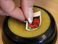 site_1_rand_491443042_stamp_rose_b_getty