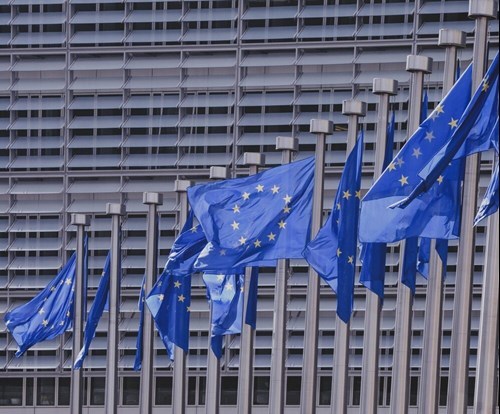 euflags.jpg