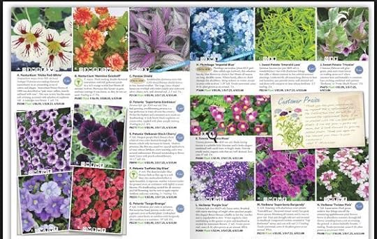 seed catalogue
