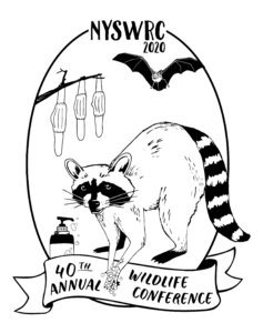 raccoon-logo-237x300.jpg