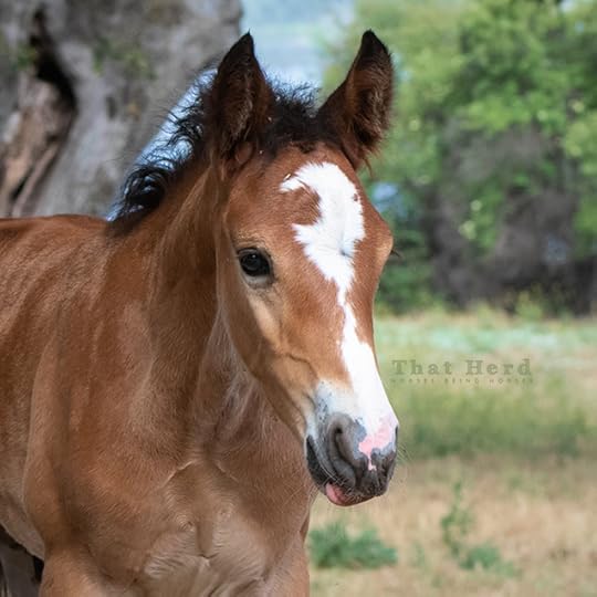 Horse Love – Page 5 – That Herd