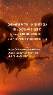 Cosmopuppytan - #NFTartwork in memory of Girlie is available on Mintable Only 50 pieces #limitededition https://mintable.app/art/item/Cosmopuppytan-Photoart/IpkDLvAoOoJlTjZ…