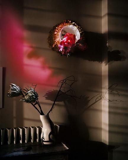 Juan Orrantia, Still life of dried Proteas and plastic flowers, 2020