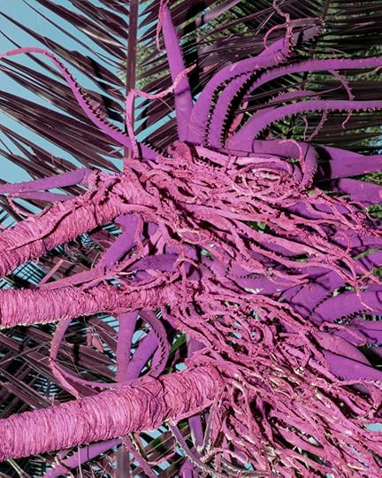 Juan Orrantia, Aloe and palm, 2020