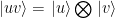 \left.|uv\right\rangle = \left.|u\right\rangle \bigotimes \left.|v\right\rangle