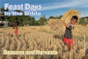 Feast Days in the Bible. Seasons and Harvests. The moadim and their meaning.