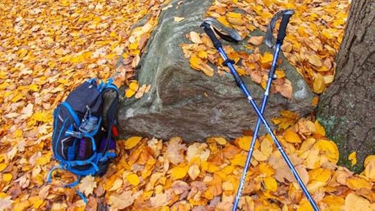 Hiking Bag and Trekking Poles