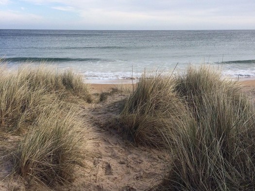 looking through the dunes at the sea
