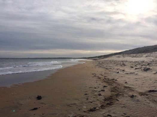 silvery light over the dunes