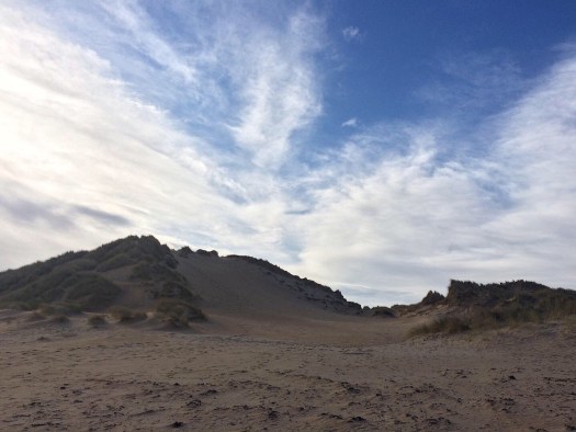 dunes silhouetted