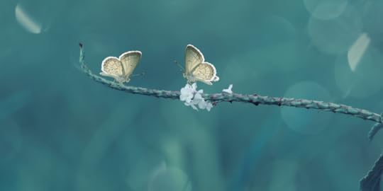 Two butterflies sitting on a branch