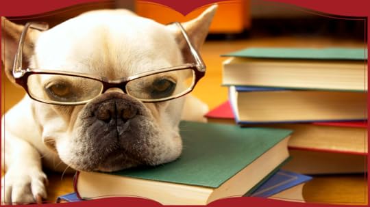 The 37 best books of 2020: our top reads from every genre | Times2 | The Times