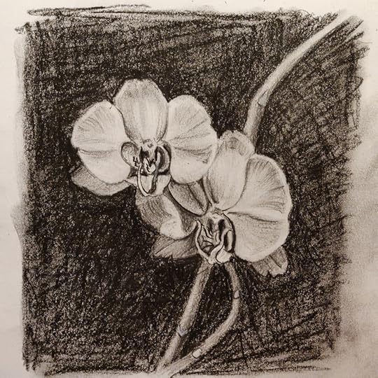 IMG_20210317_201943-01