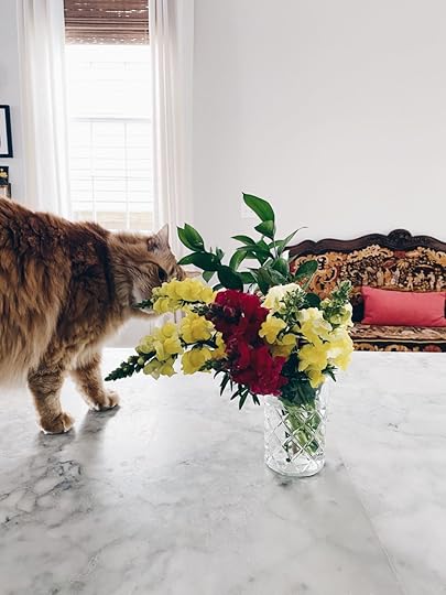 Let It Be Sunday, 314!