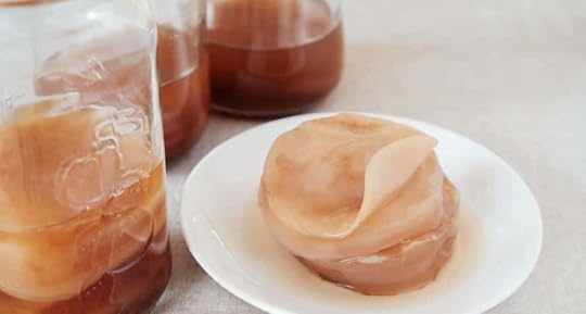 kombucha zelf maken