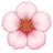 🌸