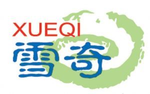 冬游