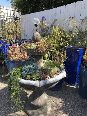 concrete fountain as succulent planter