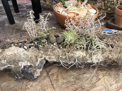 long rock as a pot