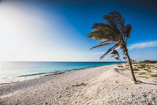 Pink sand beaches - bonaire