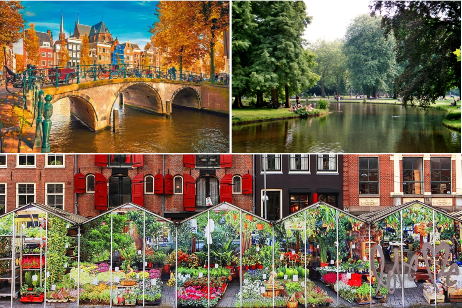 Amsterdam-Combo-2-SM2