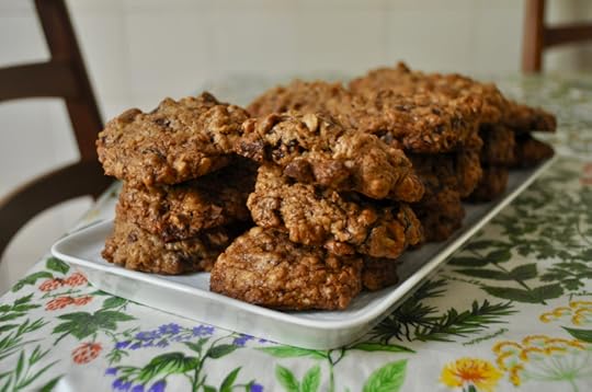 Teff Oatmeal Chocolate Chip Cookies with Walnuts and Cranberries
