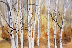 Alberta Birch Stand