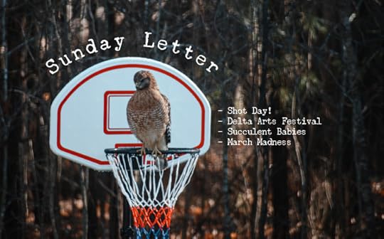 Sunday Letter