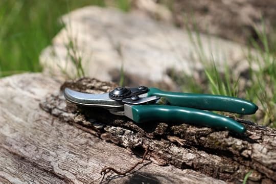 pruning clipper tool, garden shears<br />