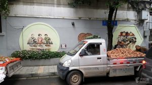 博猫娱乐