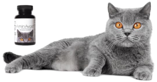 aminavast-cat