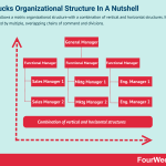 starbucks-organizational-structure