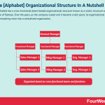 google-organizational-structure