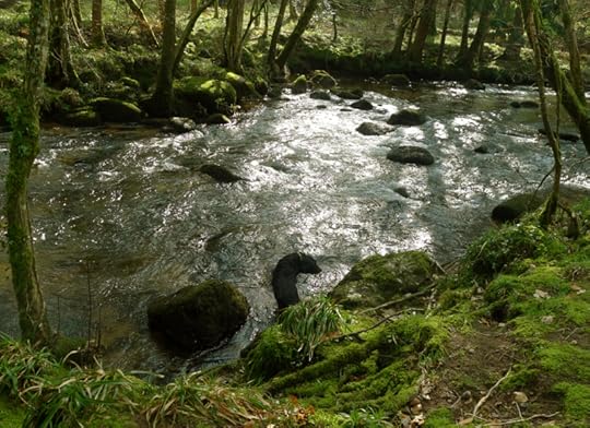 River 4