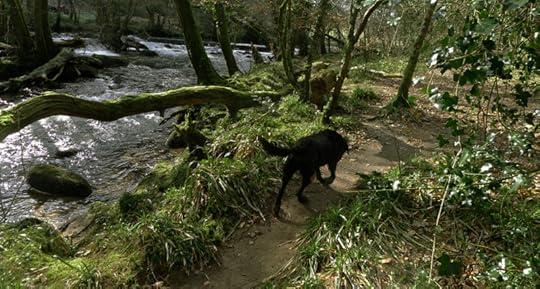 River 5