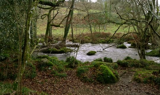 River 7