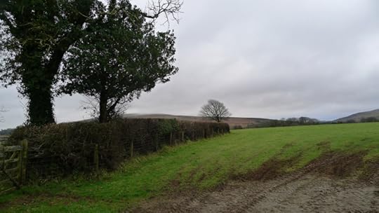 Crossing the field