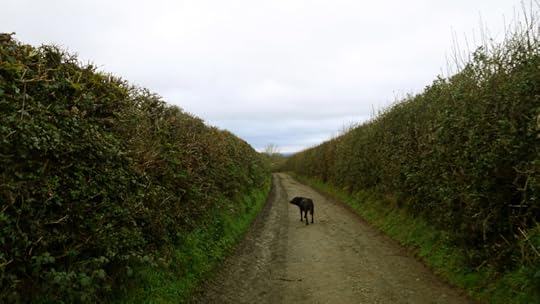 Home through the lanes