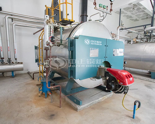 Gas steam boiler manufacturer