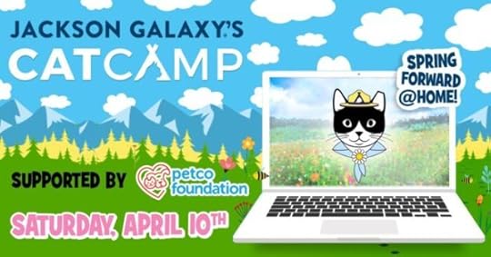 Cat-Camp-Spring-2021