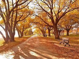 Sunny fall day at the beach! Lovely! | Outdoor, Nature, Beach