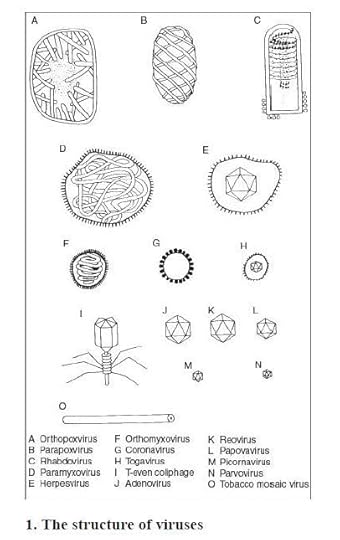 VIRUSES